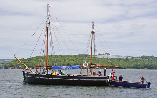 SHAMROCK - Plymouth Boat trips - Photo: © Ian Boyle, 29th June 2015 - www.simplonpc.co.uk