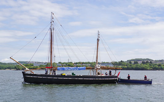 SHAMROCK - Plymouth Boat trips - Photo: © Ian Boyle, 29th June 2015 - www.simplonpc.co.uk